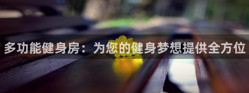 世界杯代理：多功能健身房：为您的健身梦想提供全方位