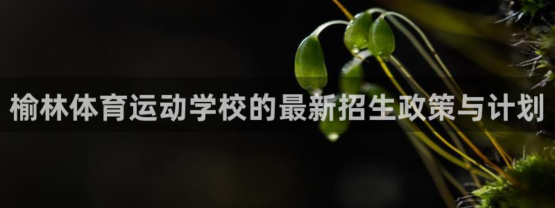 k1体育下载链接