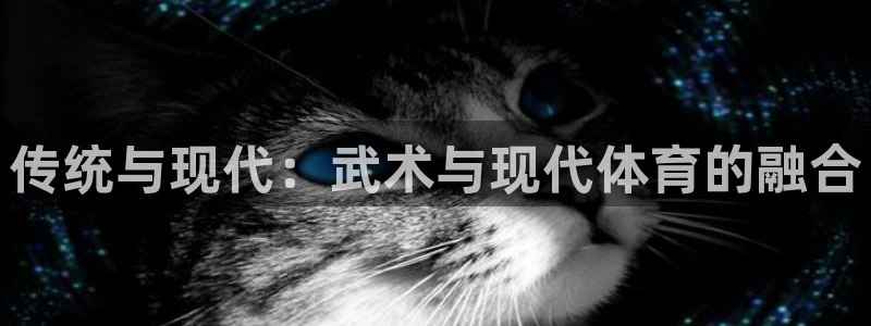 k1体育app：传统与现代：武术与现代体育的融合